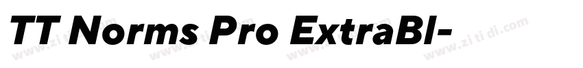 TT Norms Pro ExtraBl字体转换